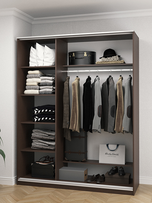 Шкаф-купе Balance (1650) 3D (венге мария)